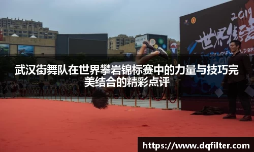 武汉街舞队在世界攀岩锦标赛中的力量与技巧完美结合的精彩点评