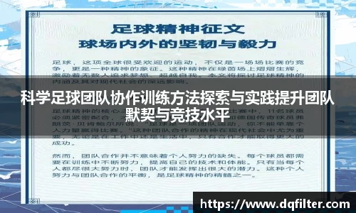 zoty中欧