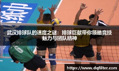 zoty中欧官网