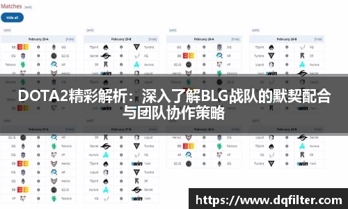 zoty中欧