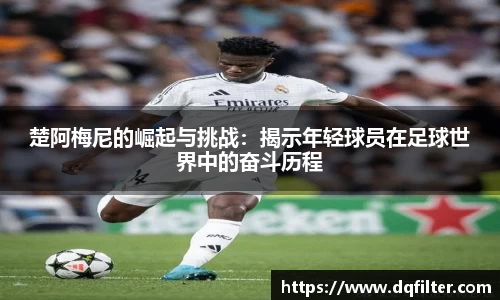 zoty中欧官方网站
