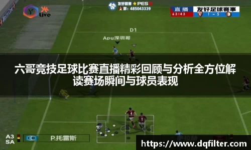 中欧体育