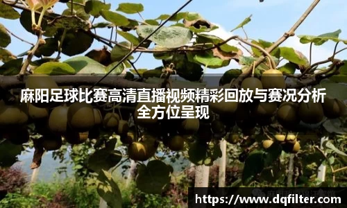 zoty中欧官网